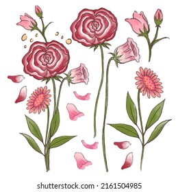 Grosser botanischer Blumenbestand. Set von getrennten Teilen und bringen Sie zu einem schönen Blumenstrauß in Aquarellfarben auf weißem Hintergrund, flache Vektorgrafik
