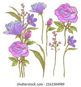 Grosser botanischer Blumenbestand. Set von getrennten Teilen und bringen Sie zu einem schönen Blumenstrauß in Aquarellfarben auf weißem Hintergrund, flache Vektorgrafik