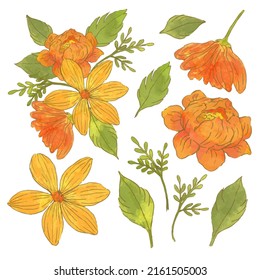 Grosser botanischer Blumenbestand. Set von getrennten Teilen und bringen Sie zu einem schönen Blumenstrauß in Aquarellfarben auf weißem Hintergrund, flache Vektorgrafik