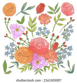 Large Botanical set of wild flowers. Set of Separate parts and bring together to beautiful bouquet of flowers in water colors style on white background, flat vector illustration