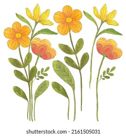 Large Botanical set of wild flowers. Set of Separate parts and bring together to beautiful bouquet of flowers in water colors style on white background, flat vector illustration