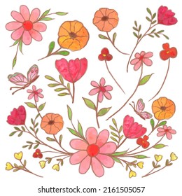 Large Botanical set of wild flowers. Set of Separate parts and bring together to beautiful bouquet of flowers in water colors style on white background, flat vector illustration