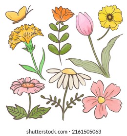 Large Botanical set of wild flowers. Set of Separate parts and bring together to beautiful bouquet of flowers in water colors style on white background, flat vector illustration