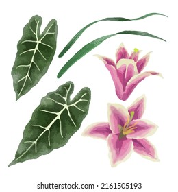 Large Botanical set of wild flowers. Set of Separate parts and bring together to beautiful bouquet of flowers in water colors style on white background, flat vector illustration