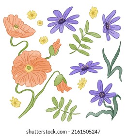 Grosser botanischer Blumenbestand. Set von getrennten Teilen und bringen Sie zu einem schönen Blumenstrauß in Aquarellfarben auf weißem Hintergrund, flache Vektorgrafik