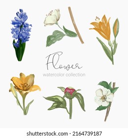 Large Botanical set of wild flowers. Set of Separate parts and bring together to beautiful bouquet of flowers in water colors style on white background, flat vector illustration