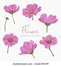 Large Botanical set of wild flowers. Set of Separate parts and bring together to beautiful bouquet of flowers in water colors style on white background, flat vector illustration