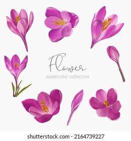 Large Botanical set of wild flowers. Set of Separate parts and bring together to beautiful bouquet of flowers in water colors style on white background, flat vector illustration