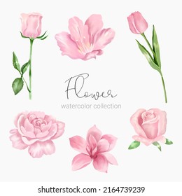 Large Botanical set of wild flowers. Set of Separate parts and bring together to beautiful bouquet of flowers in water colors style on white background, flat vector illustration