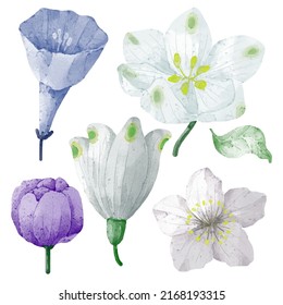 Large Botanical set of wild flowers. Set of Separate parts and bring together to beautiful bouquet of flowers in water colors style on white background, flat vector illustration