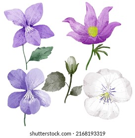 Large Botanical set of wild flowers. Set of Separate parts and bring together to beautiful bouquet of flowers in water colors style on white background, flat vector illustration