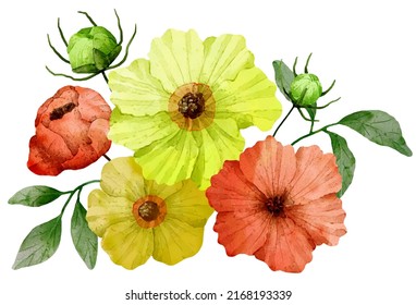 Large Botanical set of wild flowers. Set of Separate parts and bring together to beautiful bouquet of flowers in water colors style on white background, flat vector illustration