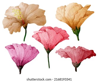 Large Botanical set of wild flowers. Set of Separate parts and bring together to beautiful bouquet of flowers in water colors style on white background, flat vector illustration