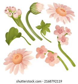 Grosser botanischer Blumenbestand. Set von getrennten Teilen und bringen Sie zu einem schönen Blumenstrauß in Aquarellfarben auf weißem Hintergrund, flache Vektorgrafik