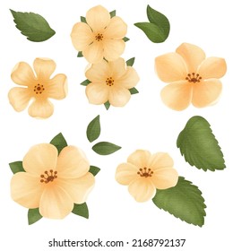 Large Botanical set of wild flowers. Set of Separate parts and bring together to beautiful bouquet of flowers in water colors style on white background, flat vector illustration