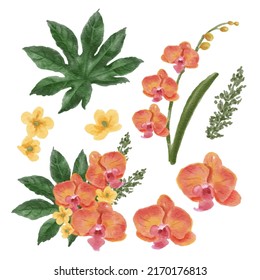 Large Botanical set of wild flowers. Set of Separate parts and bring together to beautiful bouquet of flowers in water colors style on white background, flat vector illustration