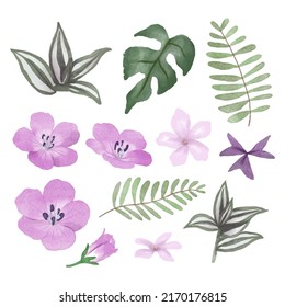 Gran conjunto botánico de flores silvestres. Conjunto de partes separadas y juntar a un hermoso ramo de flores en color agua estilo sobre fondo blanco, ilustración vectorial plana