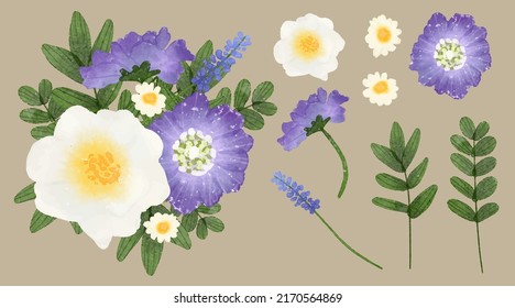 Large Botanical set of wild flowers. Set of Separate parts and bring together to beautiful bouquet of flowers in water colors style on background, Nature floral vector illustration