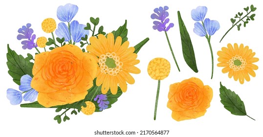 Large Botanical set of wild flowers. Set of Separate parts and bring together to beautiful bouquet of flowers in water colors style on background, Nature floral vector illustration
