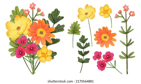 Large Botanical set of wild flowers. Set of Separate parts and bring together to beautiful bouquet of flowers in water colors style on background, Nature floral vector illustration