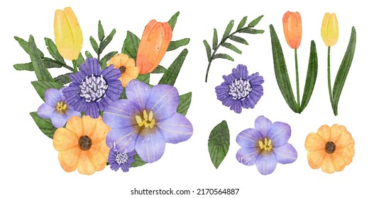 Large Botanical set of wild flowers. Set of Separate parts and bring together to beautiful bouquet of flowers in water colors style on background, Nature floral vector illustration