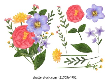Large Botanical set of wild flowers. Set of Separate parts and bring together to beautiful bouquet of flowers in water colors style on background, Nature floral vector illustration