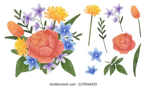 Large Botanical set of wild flowers. Set of Separate parts and bring together to beautiful bouquet of flowers in water colors style on background, Nature floral vector illustration