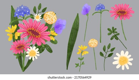 Large Botanical set of wild flowers. Set of Separate parts and bring together to beautiful bouquet of flowers in water colors style on background, Nature floral vector illustration