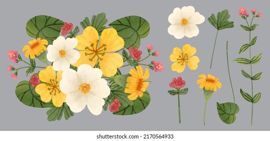 Grosser botanischer Blumenbestand. Set von getrennten Teilen und bringen Sie zusammen zu einem schönen Blumenstrauß in Aquarellfarben auf dem Hintergrund, Naturblume Vektorgrafik