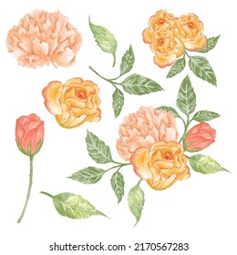 Gran conjunto botánico de flores silvestres. Conjunto de partes separadas y juntar a un hermoso ramo de flores en el estilo de los colores del agua sobre el fondo, ilustración vectorial floral de la naturaleza