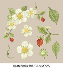 Large Botanical set of wild flowers. Set of Separate parts and bring together to beautiful bouquet of flowers in water colors style on background, Nature floral vector illustration