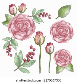 Large Botanical set of wild flowers. Set of Separate parts and bring together to beautiful bouquet of flowers in water colors style on background, Nature floral vector illustration