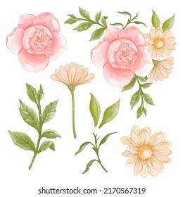 Large Botanical set of wild flowers. Set of Separate parts and bring together to beautiful bouquet of flowers in water colors style on background, Nature floral vector illustration