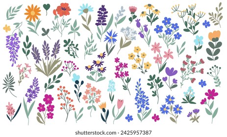 Large botanical set of wildflowers: flowers, twigs, leaves, herbs and other elements are hand-drawn in a flat style isolated on a white background. Vector design.