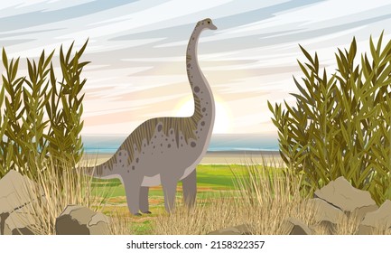 A large brachiosaurus dinosaur stands in the grass on the seashore. Prehistoric flora and fauna. Realistic vector landscape