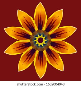 Large bright orange daisy flower or gazania on dark red background. Isolated vector illustration.