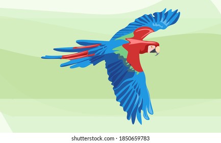 a large and bright parrot with red-blue plumage, a macaw parrot flies