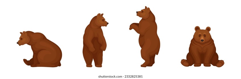 Large Brown Bear in Different Pose Vector Set