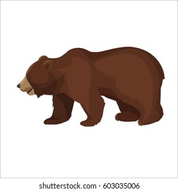 Large brown bear side view close-up graphic icon on white background. Wild animal stands on four paws with slightly opened mouth. Vector illustration of terrestrial predaceous mammal banner.