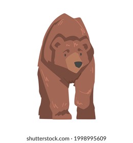 Large Brown Bear, Wild Mammal Animal Cartoon Vector Illustration