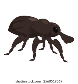 Large brown beetle with six legs and a long snout is walking