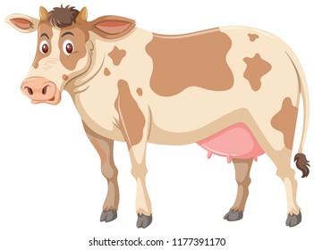 Large brown cow white background illustration