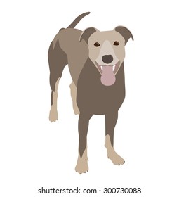 Large brown dog with a happy face and tongue out facing the camera.