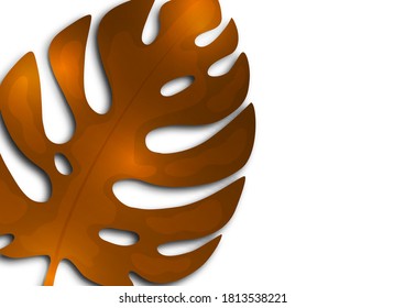 Large brown leaf of monstera on a white background. Creative template for your design. Vector illustration