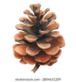 Large brown pinecone scales texture