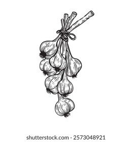 Large bunch of garlic tied up line art. For food packaging, recipe books, restaurant menus, blogs, or kitchen-themed designs. High-quality vector graphics ideal for creative projects.