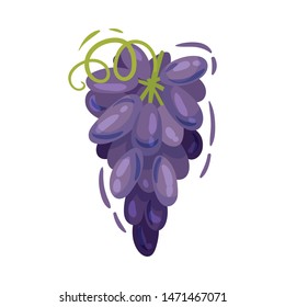 Large bunch of grapes. Vector illustration on white background.