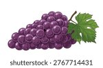 Large bunch of ripe purple grapes with a green leaf attached looks fresh and juicy in this detailed illustration.