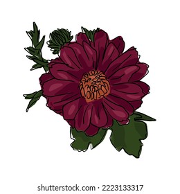 large burgundy flowers with green leaves. cartoon sketch on a white background