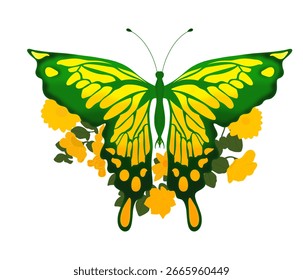Grande mariposa sin fondo amarillo con verde, una pequeña transición de color en las alas